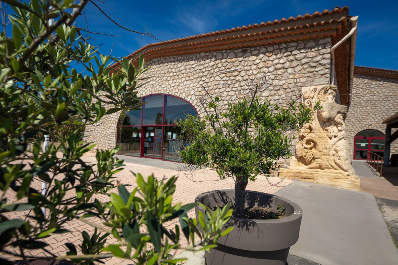 CAVES RICHEMER MARSEILLAN  (4)