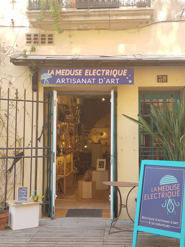 COLLECTE LA MEDUSE ELECTRIQUE MEZE 1