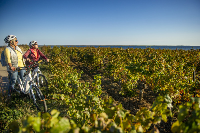 COUV26-Meze_vignoble_etang_de_thau_domaine_belle_mare_-_EXCLUSIF_ADT34_Didier_Cavailhes_15