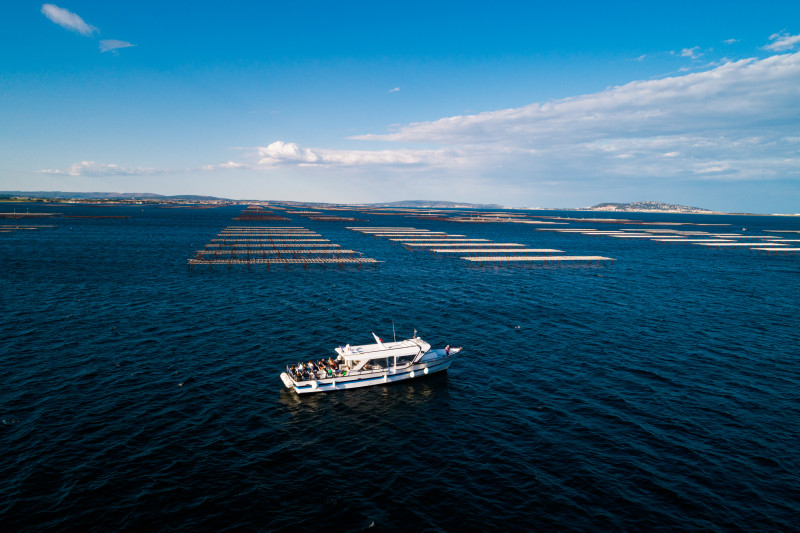 L'Étoile de Thau IV - Marseillan