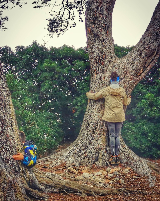 Bain de forêt et initiation à la sylvothérapie