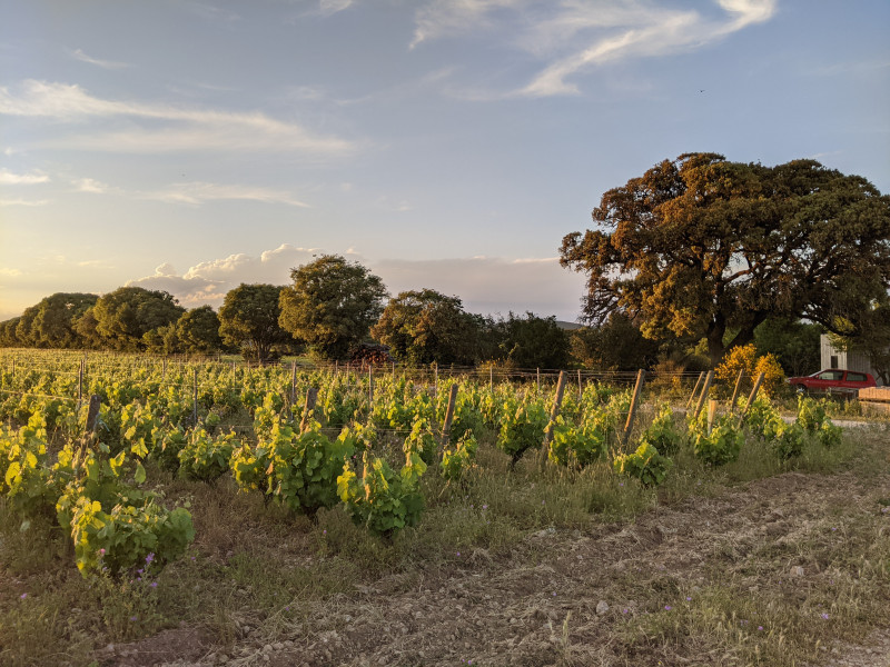 Chateau de stonyPXL_20210530_184732687
