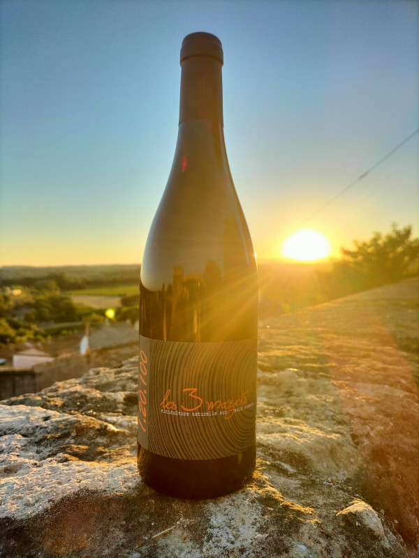 DOMAINE LES 3 MAZETS FONTA LUC (7) - © FONTA LUC DOMAINE LES 3 MAZETS FONTA LUC (7)