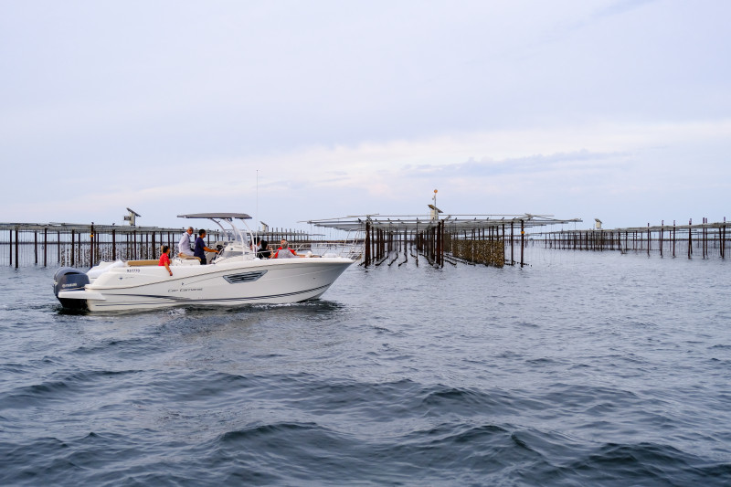 Le Nino Evasion - Marseillan