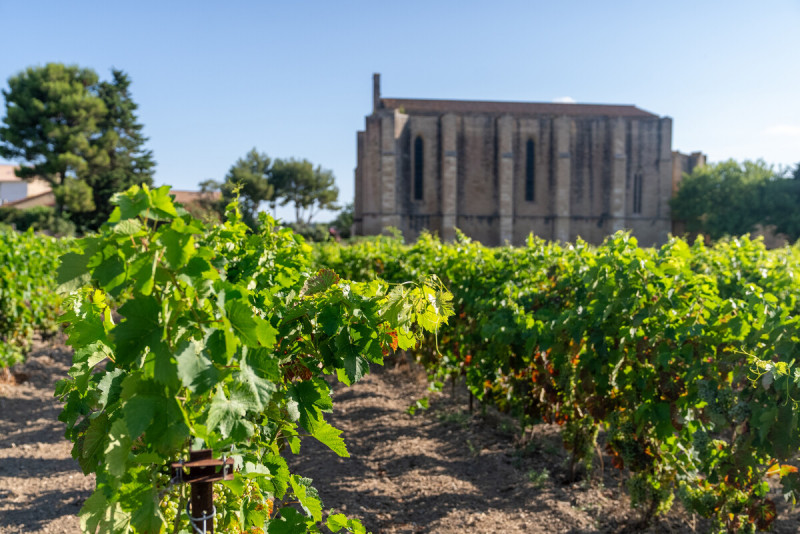 Eglise_Sainte_Cecile-M_RICARD_OT-THAU-29806-1200px