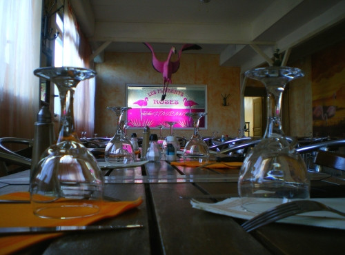 Flamant Rose 4 - TSF - © OT Frontignan Flamant Rose 4 - TSF