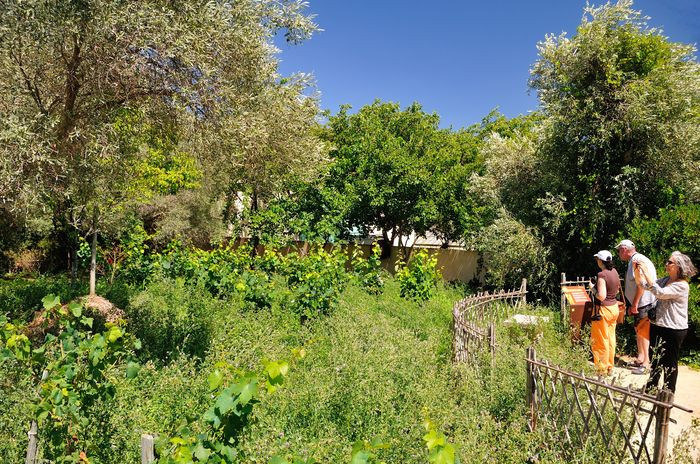 JARDIN ANTIQUE MEDITERRANEEN BALARUC LES BAINS