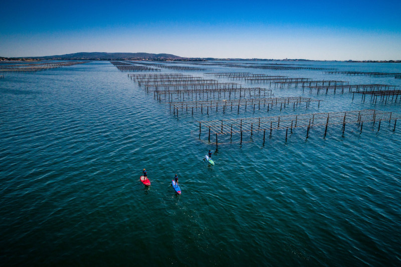 kayakmed - sète - - © Herve Leclair / Aspheries.com kayakmed - sète -