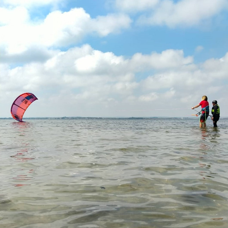 Kite Family