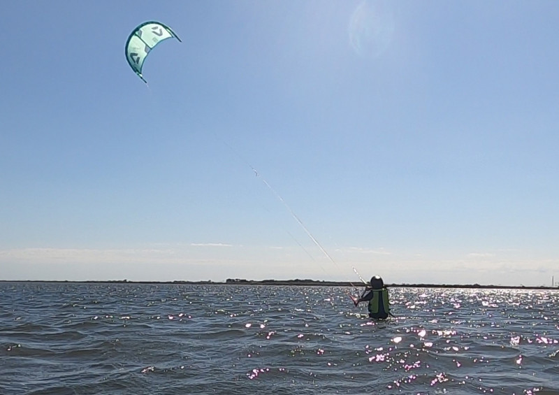 Kite Family