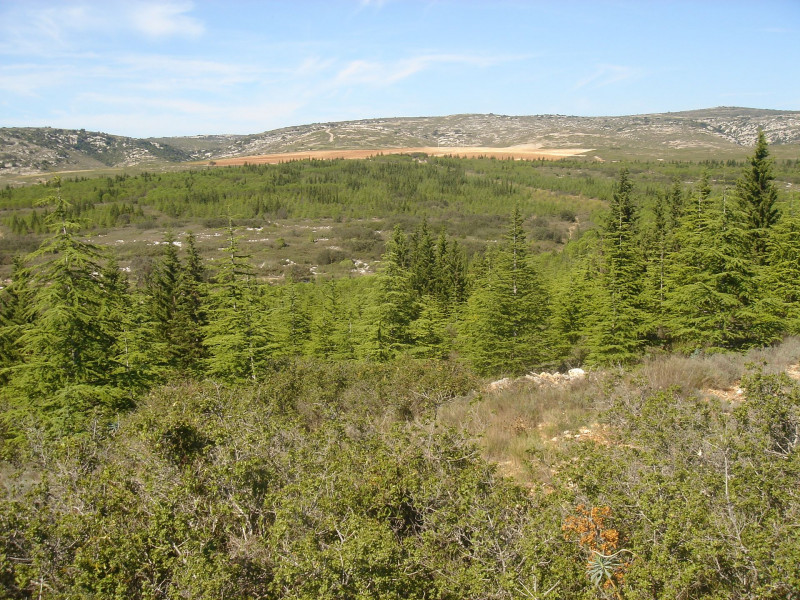 Les collines de la Moure-0012 @ Gilles Delerue - ADT34