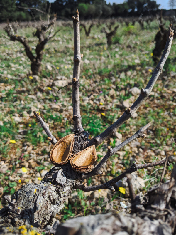 PXL_20210309_093622209