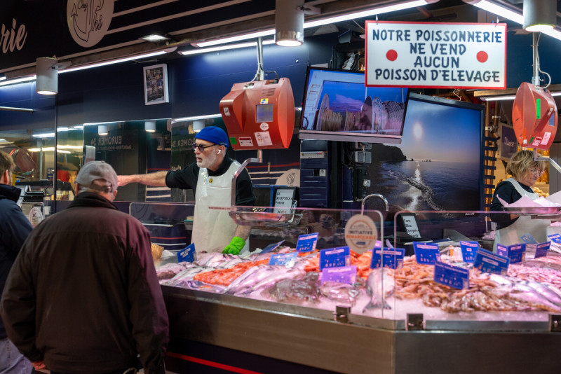Poissonnerie-M_RICARD_OT-THAU-29201-1200px