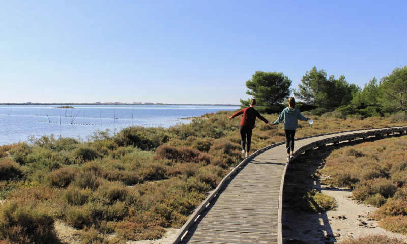 Rando des Aresquiers0001 ©Stephanie Durand Keller - ADT34