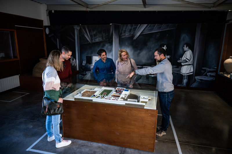 MUSÉE DE SITE GALLO-ROMAIN VILLA-LOUPIAN