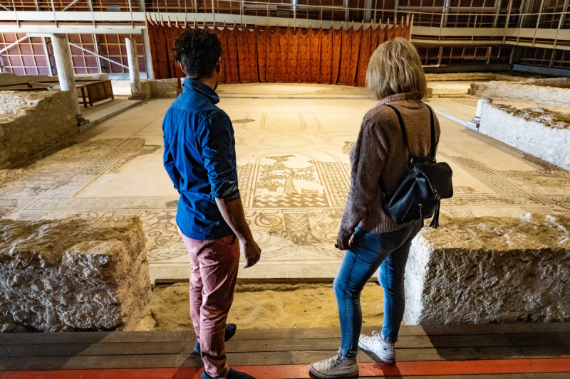 MUSÉE DE SITE GALLO-ROMAIN VILLA-LOUPIAN