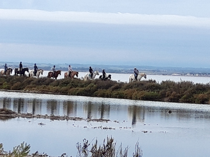 Centre equestre de Sète Balade