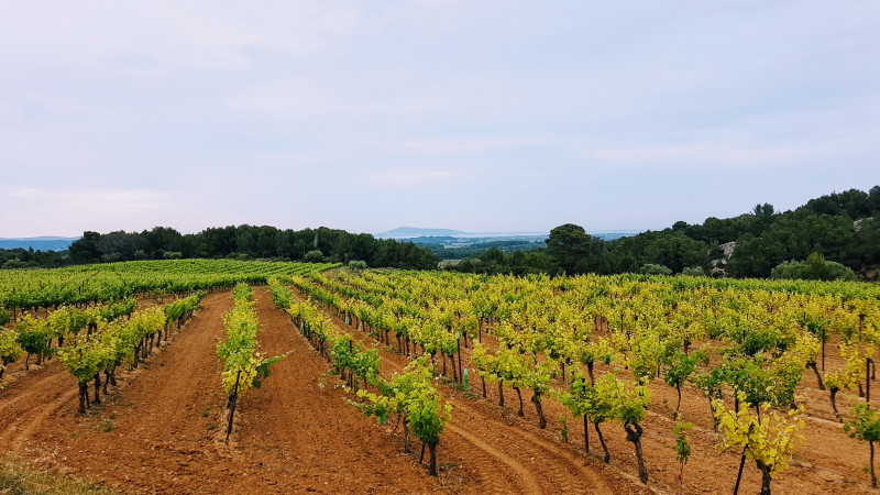 boucle-26-060-entre-abbaye-de-valmagne-et-bessilles©MountNpass