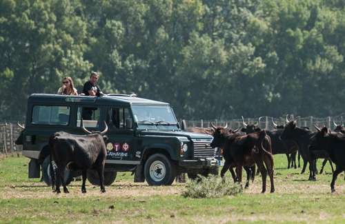 camargue autrement