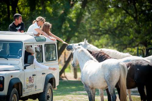 camargue-autrement