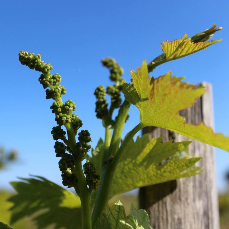 domaine-rencontre-1