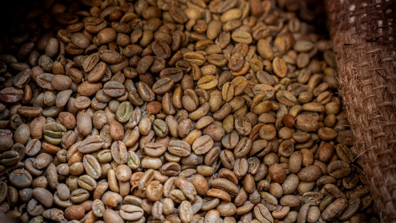 etienne-coffee-shop-6-351763