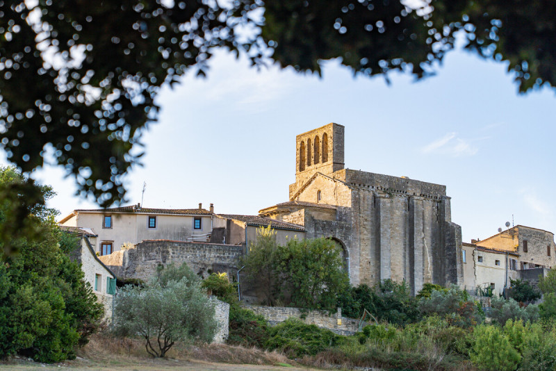 jardin-mediterraneen-montbazin-m-ricard-ot-thau-35117-1200px-352344 jardin-mediterraneen-montbazin-m-ricard-ot-thau-35117-1200px-352344