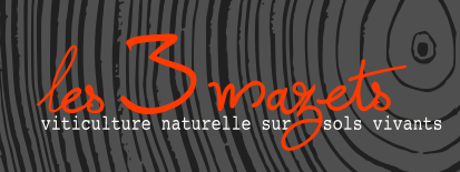 DOMAINE LES 3 MAZETS FONTA LUC - © FONTA LUC DOMAINE LES 3 MAZETS FONTA LUC