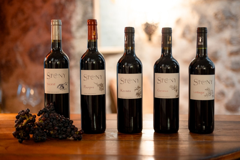 maison-stony-location-vacances-herault-gite-frontignan