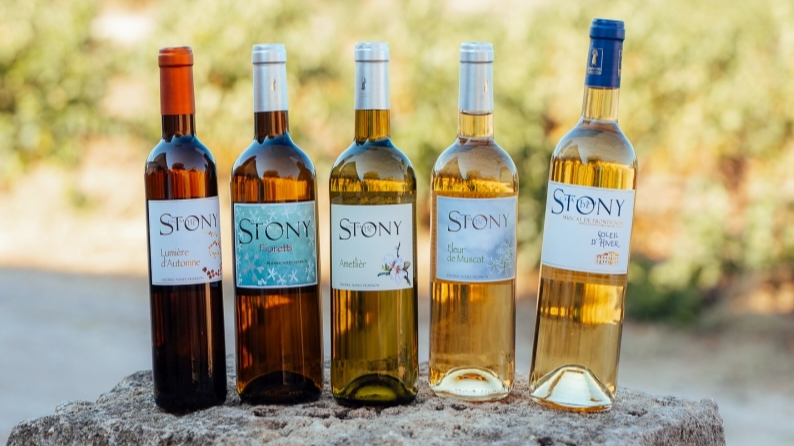 maison-stony-location-vacances-herault-gite-frontignan