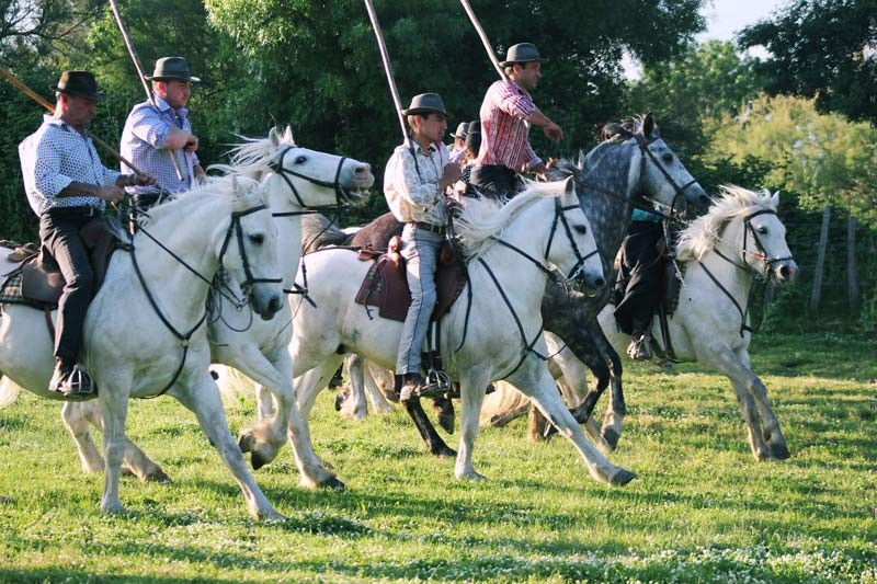 mas de la comtesse camargue aigues mortes