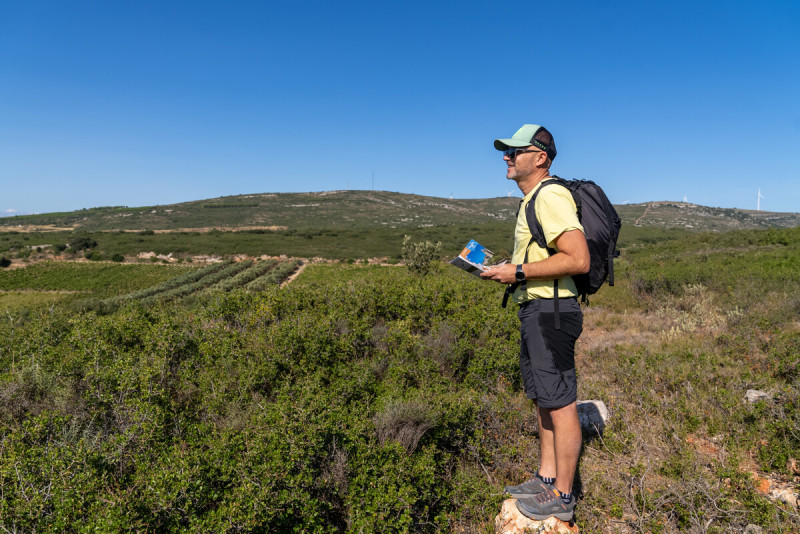 randonnee-montbazin-30699-1200px-352345 randonnee-montbazin-30699-1200px-352345