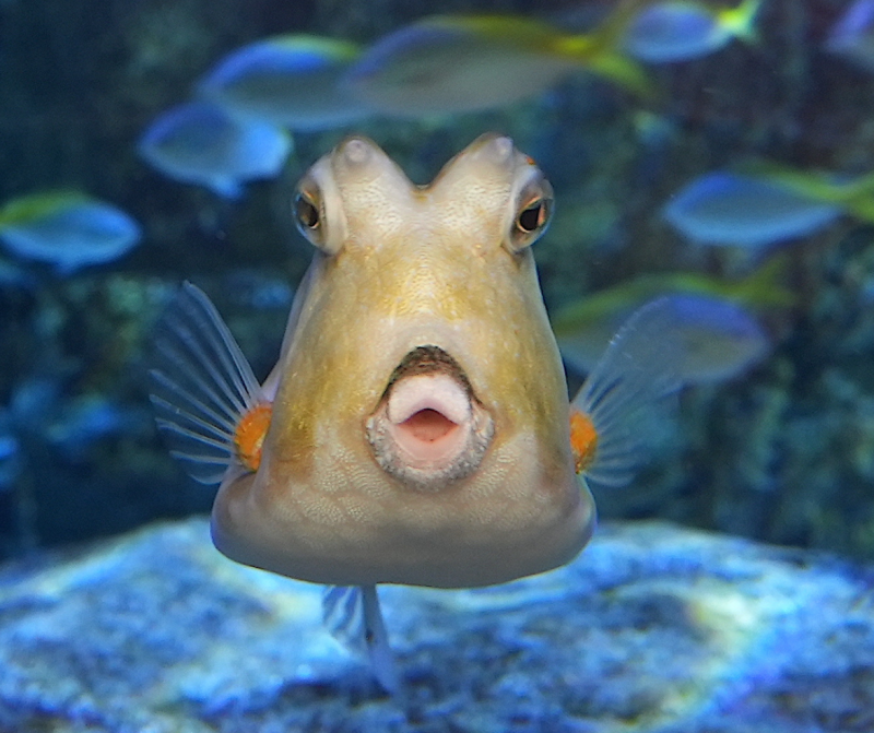 seaquarium-2-351557