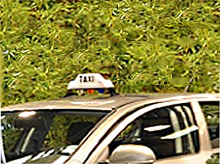 taxi-sete-8247