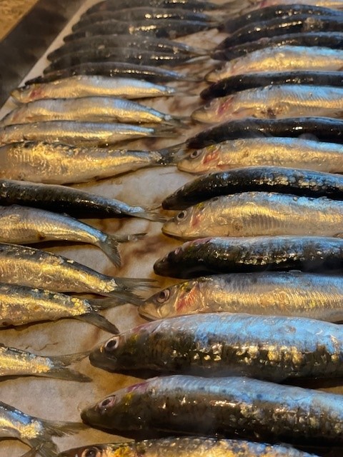 sardines grillées - photo - cabanette