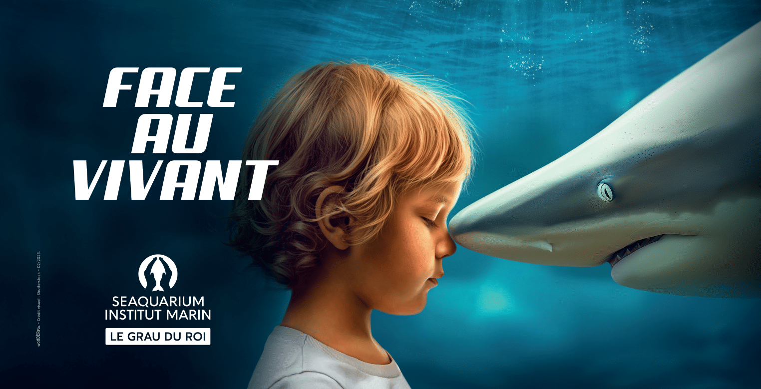 seaquarium-351574