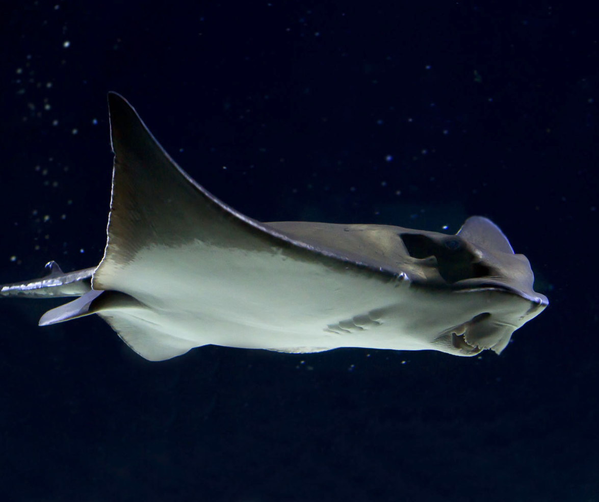 seaquarium-8-351563