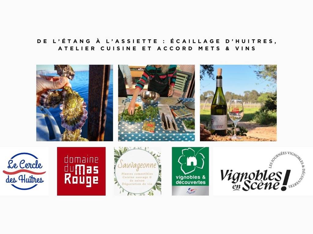 atelier-vignobles-en-scne-17748946