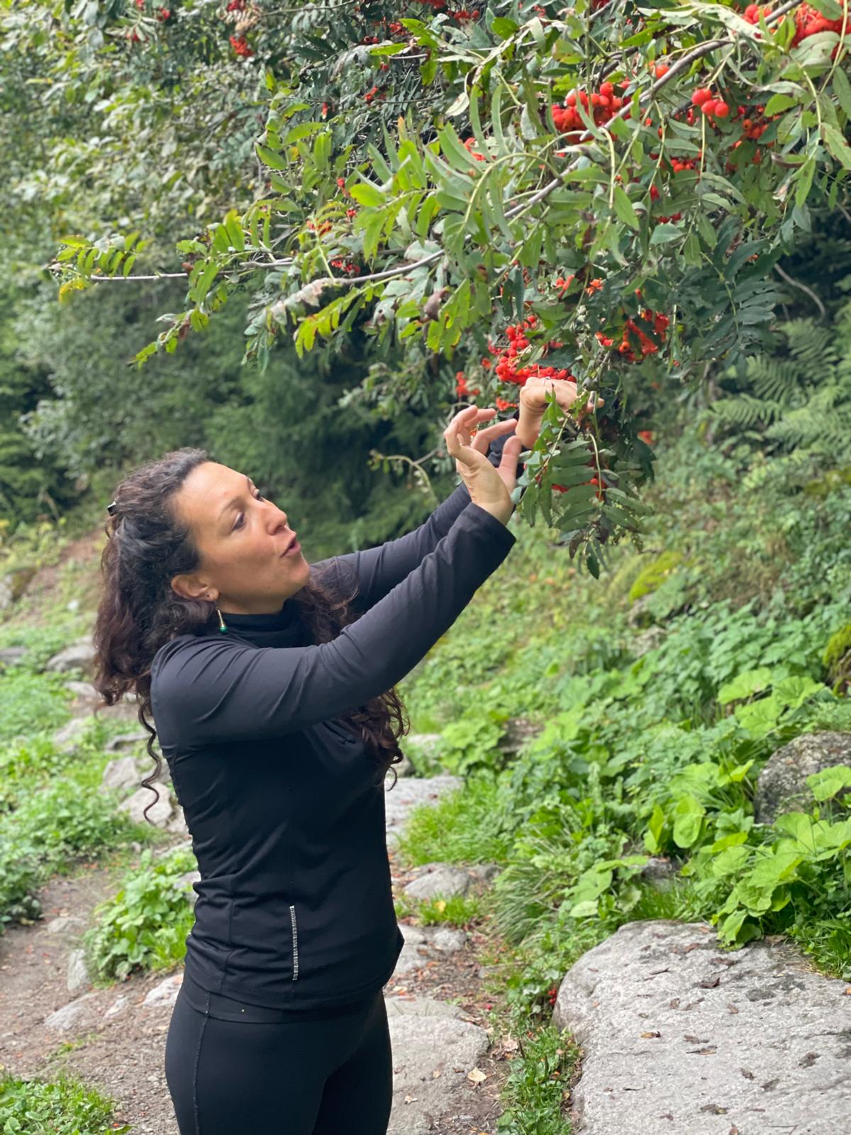 BALADE BOTANIQUE SUR LE LITTORAL DE BOUZIGUES