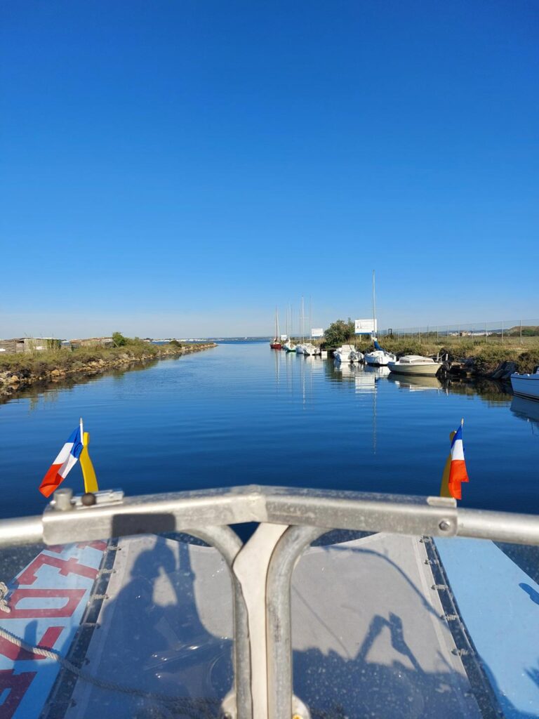 balade-canal-du-rhone-a-sete-ecothau-768x1024-16578439