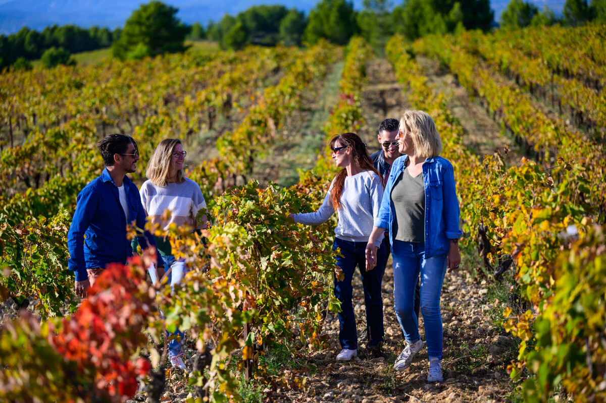 balade-dans-les-vignes-r-domergue-ot-thau-20618-1200px-16215838