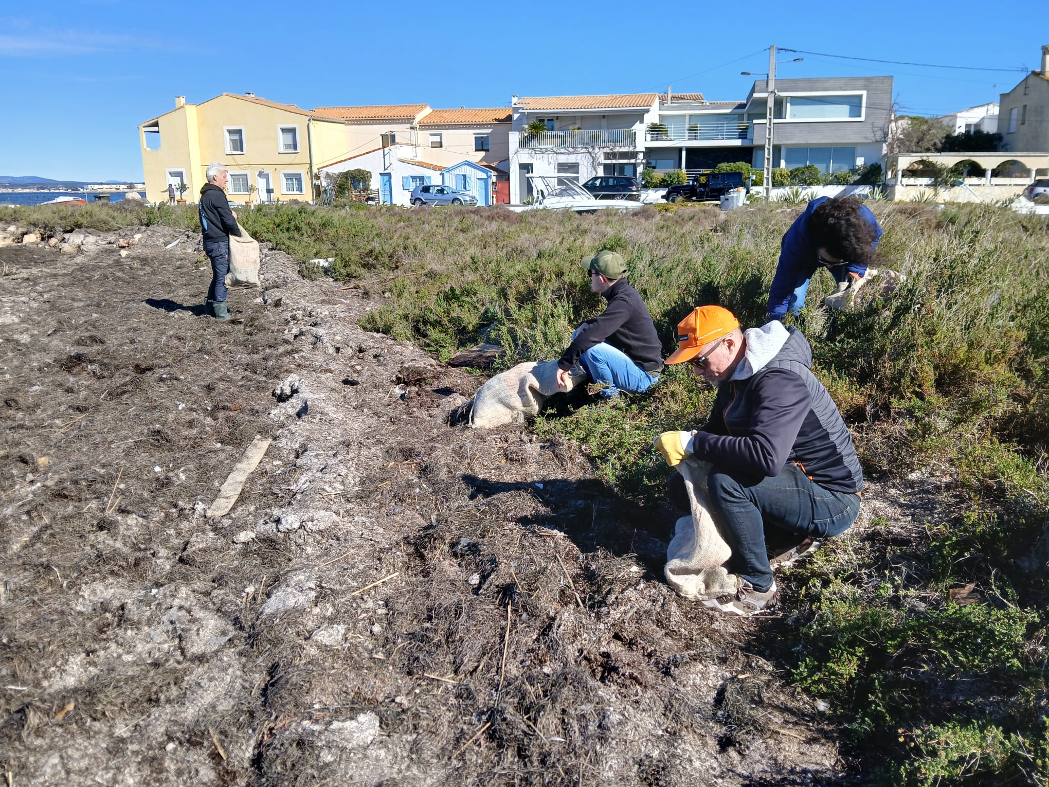 BALADE - RAMASSAGE SUR LES BERGES DE L'ÉTANG DE THAU