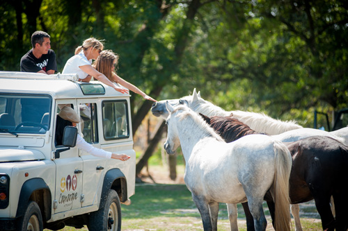 Camargue Autrement : Une immersion insolite en Camargue  - © Camargue Autrement