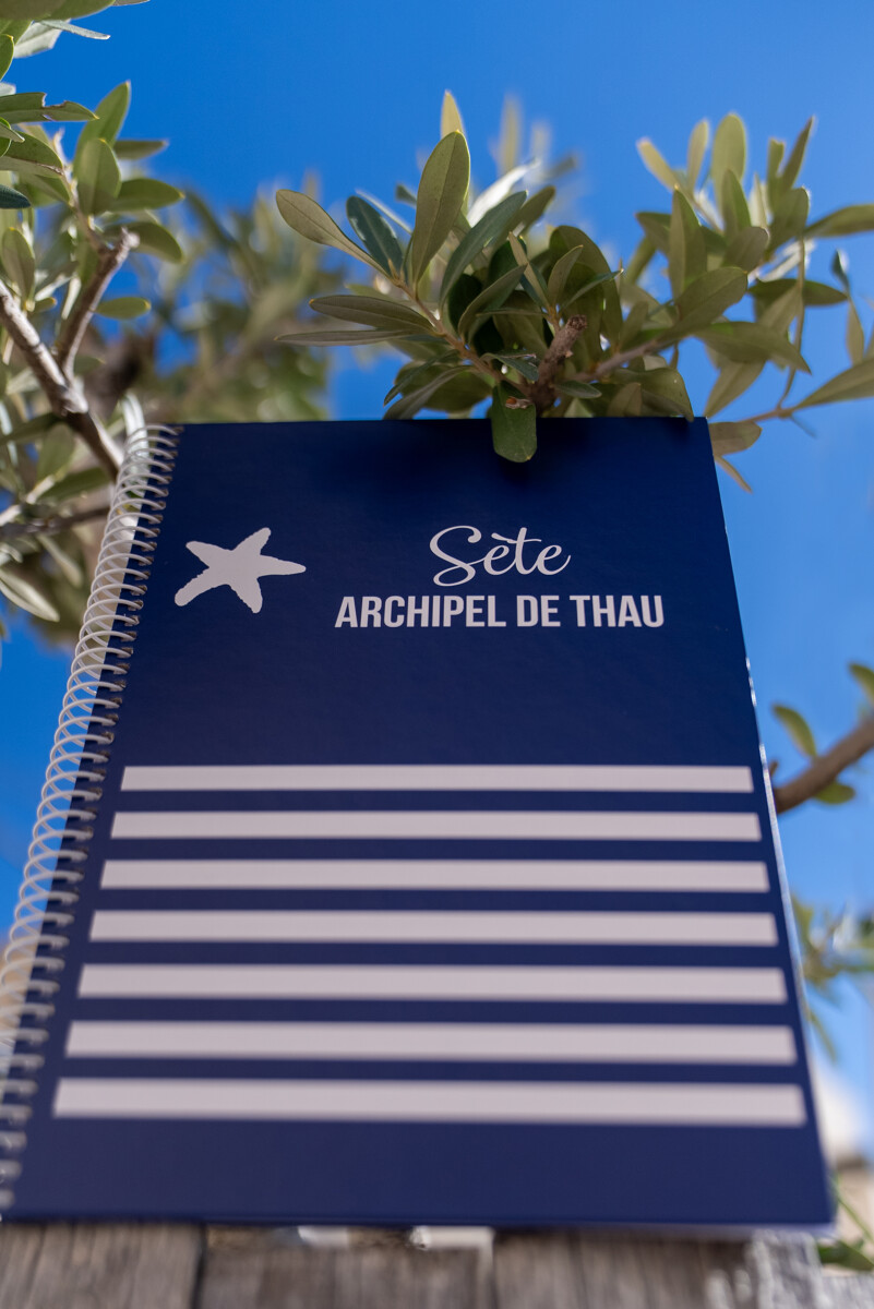carnet-sete-archipel-de-thau-m-ricard-ot-thau-29293-1200px-18229815