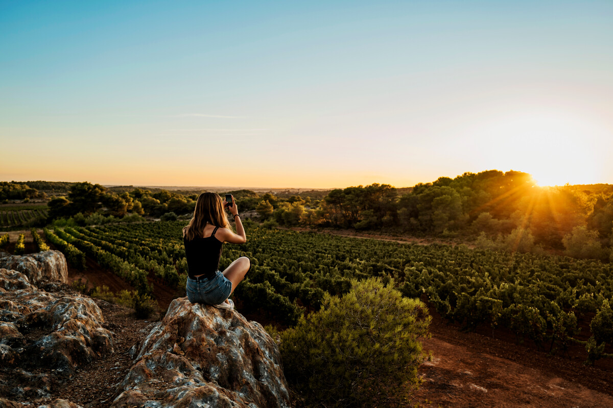 Coucher de soleil sur la garrigue