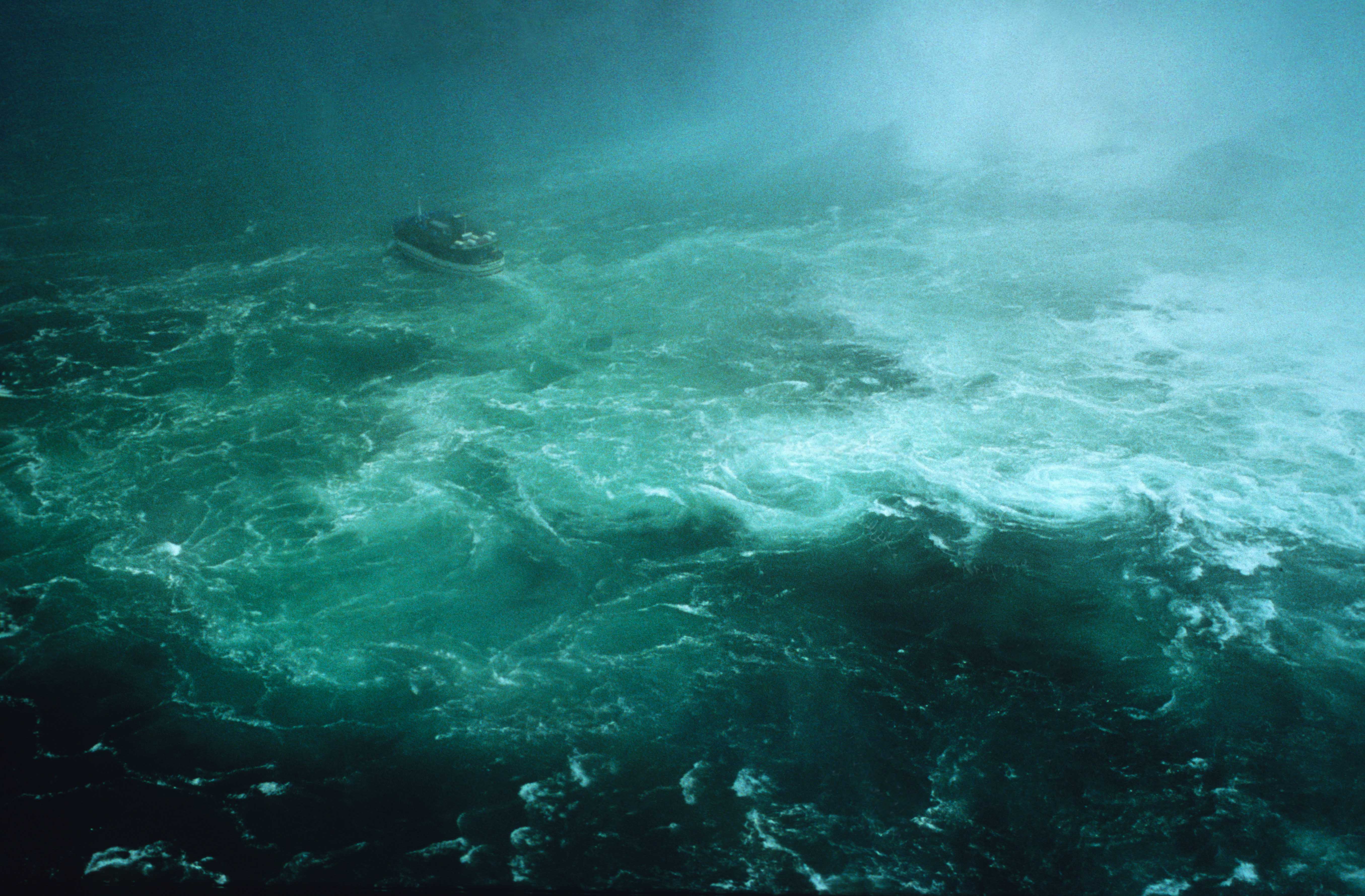 dolores-marat-niagara-if-2026-19271731