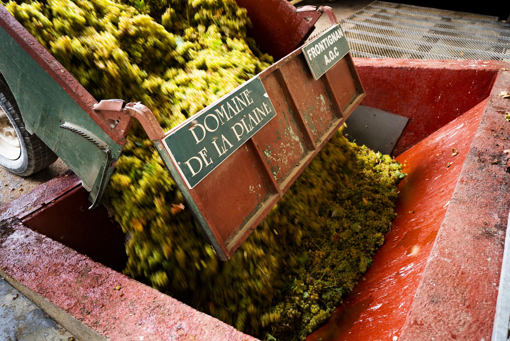 domaine-de-la-plaine-aureliablanc-thau-en-mediterranee-1-9108093