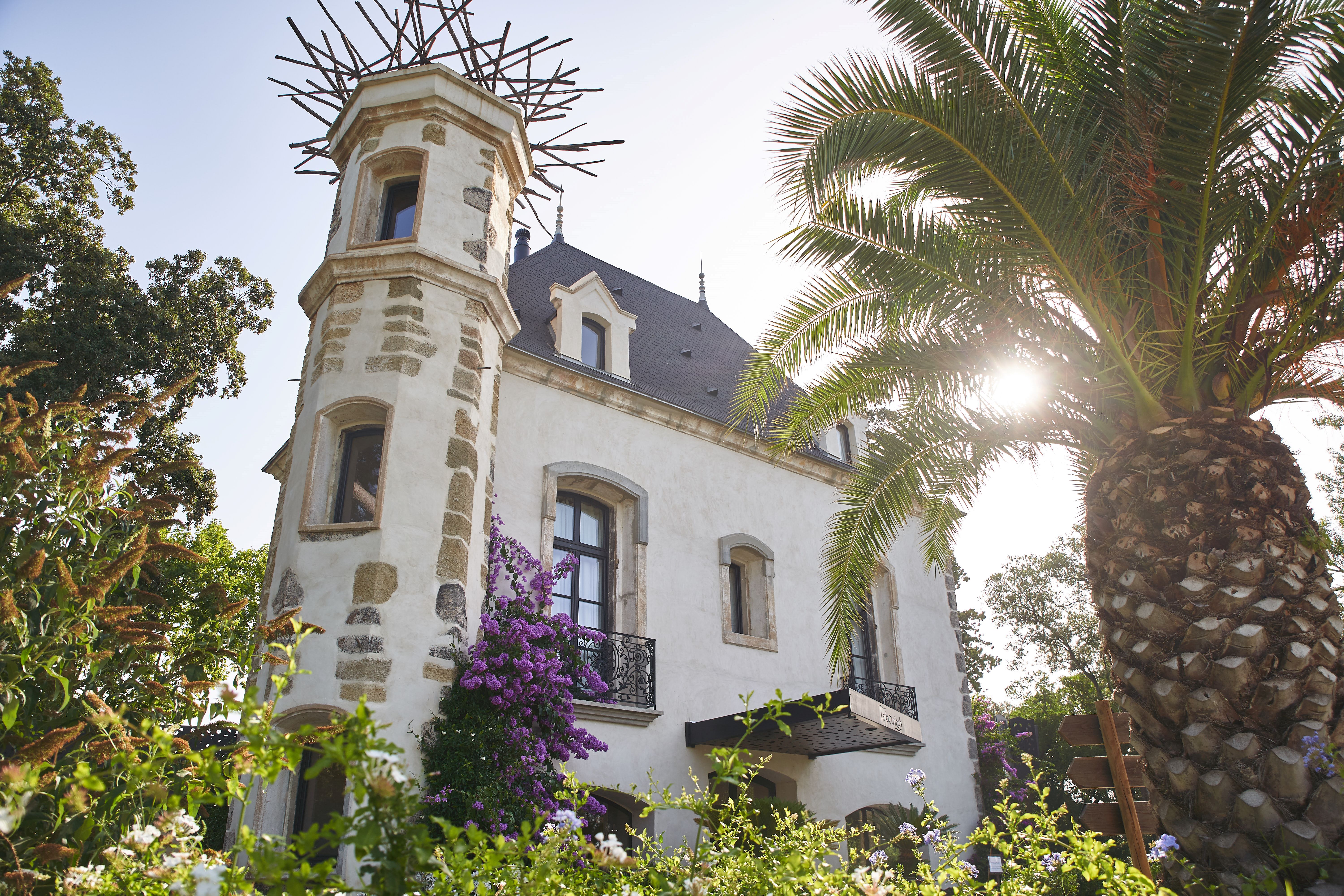domaine-tarbouriech-41-1-13959925