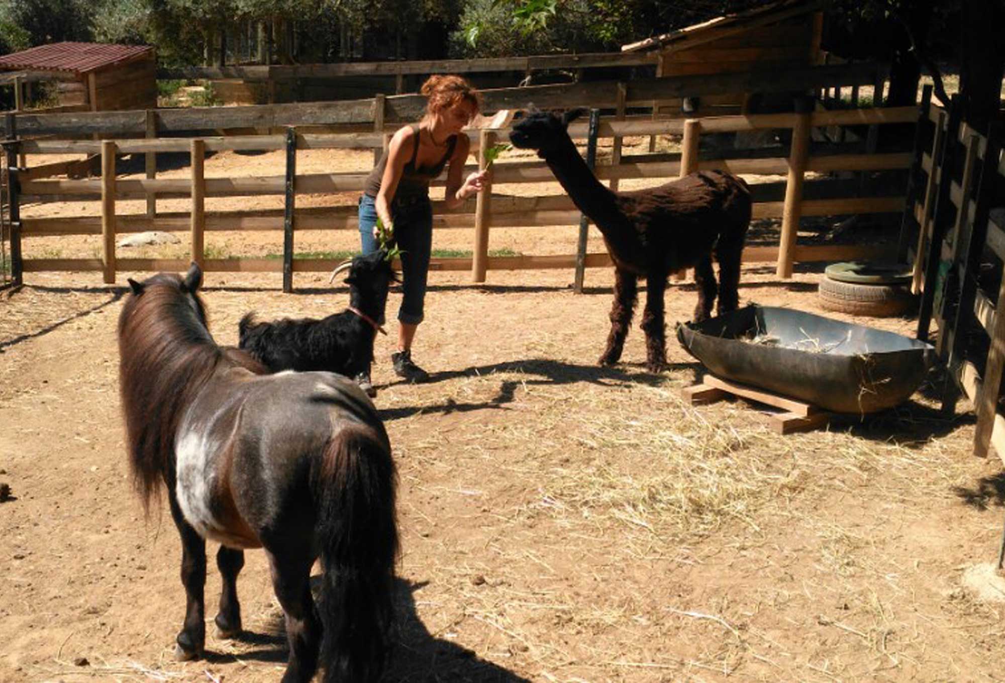 Ferme zoo de Bouzigues - © Ferme zoo de Bouzigues