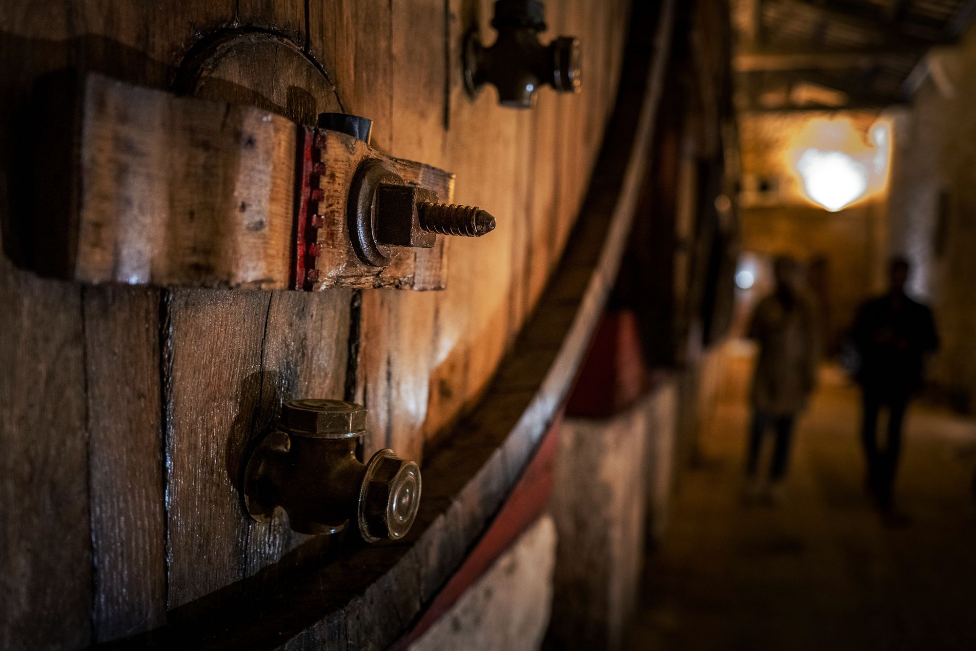foudre-aureliablanc-thau-en-mediterrannee-9108094